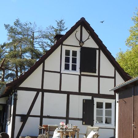 Linnehus Am Diemelsteig Diemelsee Exterior foto